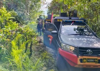 Kopdes Merah Putih Dorong Ekonomi OAP di Papua Pegunungan