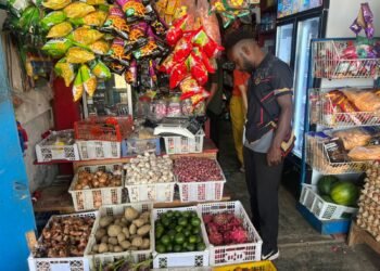 Satgasda Papua Pantau Harga Bahan Pokok di Oksibil, Biaya Transportasi Udara Picu Kenaikan Harga