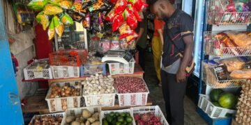 Satgasda Papua Pantau Harga Bahan Pokok di Oksibil, Biaya Transportasi Udara Picu Kenaikan Harga