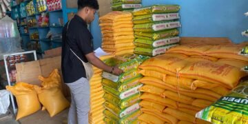 Satgasda Papua Pantau Harga Bahan Pokok di Oksibil, Biaya Transportasi Udara Picu Kenaikan Harga