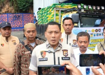 Satgas Pangan Polda Papua Lepas Distribusi 137 Ton Beras SPHP untuk Stabilkan Harga Jelang Idul Fitri