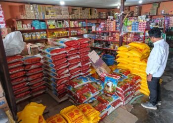 Satgas Pangan Polda Papua Pantau Harga dan Pasokan Bahan Pokok di Pasar Hamadi