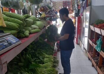 Satgas Pangan Polda Papua Pantau Harga dan Pasokan Bahan Pokok di Pasar Hamadi