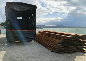 Kebakaran Hanguskan Belasan Ruko di Jalan Irian–Trikora Wamena, Polisi Bergerak Cepat Lakukan Penanganan