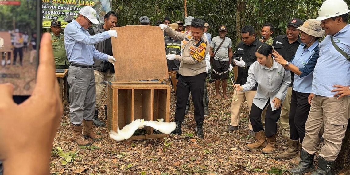 Polsek Bonggo Dorong Ketahanan Pangan, Bersama Petani Tanam Kacang Tanah di Kampung Rotea