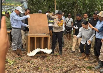 Polsek Bonggo Dorong Ketahanan Pangan, Bersama Petani Tanam Kacang Tanah di Kampung Rotea