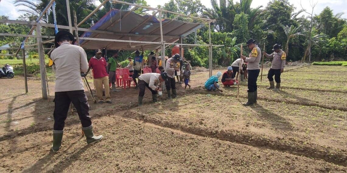 Polsek Bonggo Dorong Ketahanan Pangan, Bersama Petani Tanam Kacang Tanah di Kampung Rotea