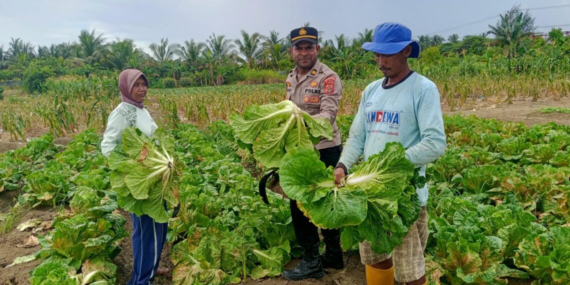 Polsek Muara Tami Sambangi Kelompok Tani Koya Barat, Perkuat Ketahanan Pangan Masyarakat
