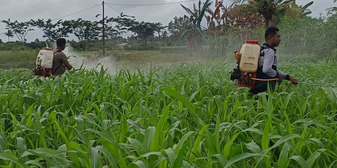 Polres Boven Digoel Gelar Ruang Edukasi Bagi Anak Putus Sekolah, Tingkatkan Literasi Dan Pola Hidup Sehat 