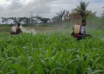 Polres Boven Digoel Gelar Ruang Edukasi Bagi Anak Putus Sekolah, Tingkatkan Literasi Dan Pola Hidup Sehat 