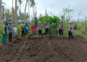 Dukung Ketahanan Pangan, Polsek Kurik Manfaatkan Lahan Produktif untuk Penanaman Jagung dan Rumput Gajah