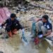 Memasuki Hari Ke-5 Pasca Ledakan di Biak, Tim Gabungan Temukan 32 Potongan Tubuh