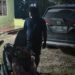 Ops Sikat Cartenz 2026, Polres Keerom Berhasil Ungkap Keberadaan Motor Hasil Curanmor