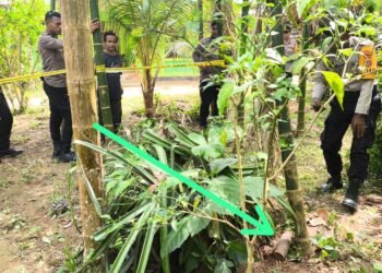 Polres Jayapura Lakukan Pengamanan dan Sterilisasi Lokasi Penemuan Benda Diduga Bom di Distrik Waibu